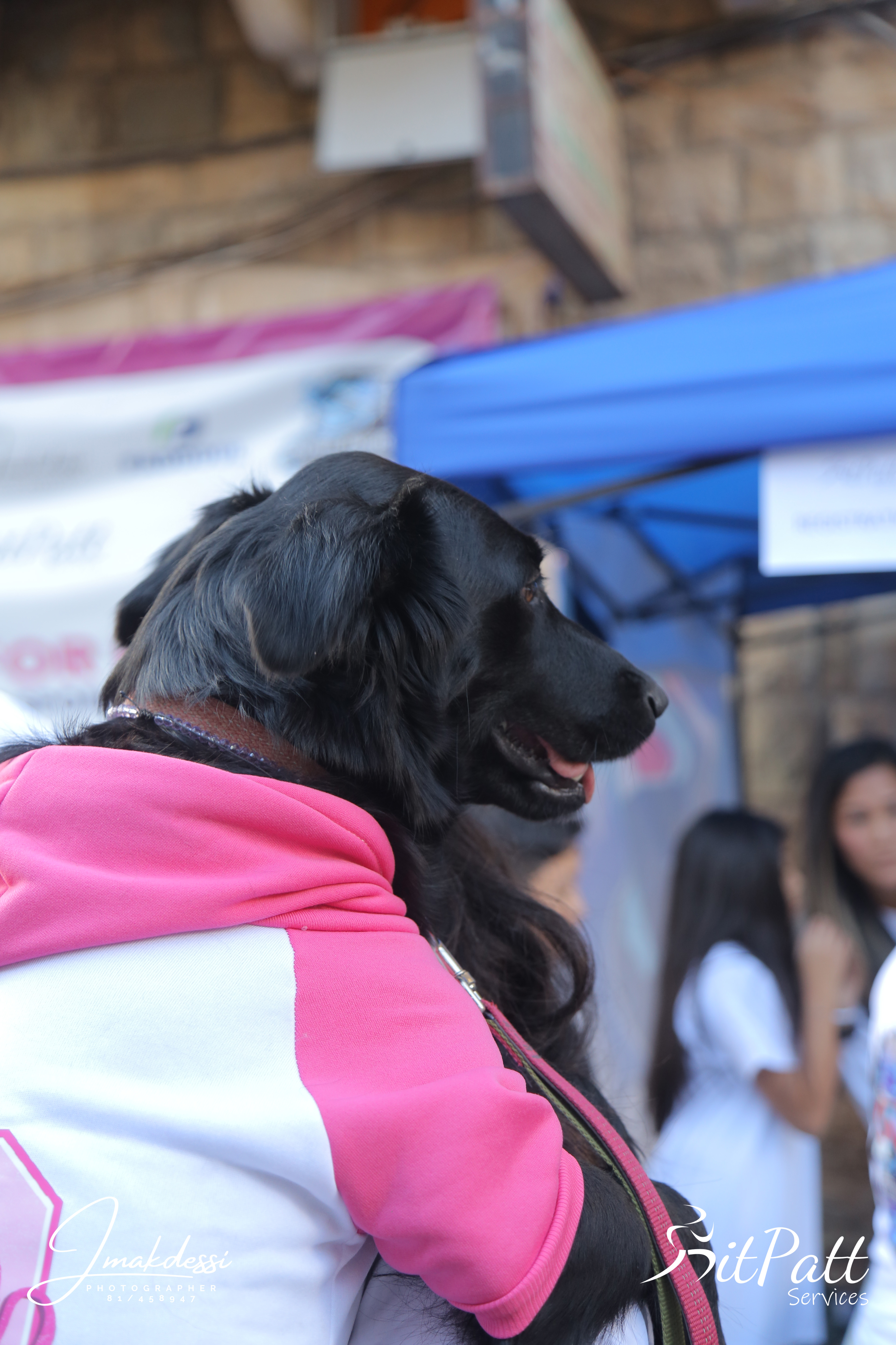 Move for Hope event photo 51