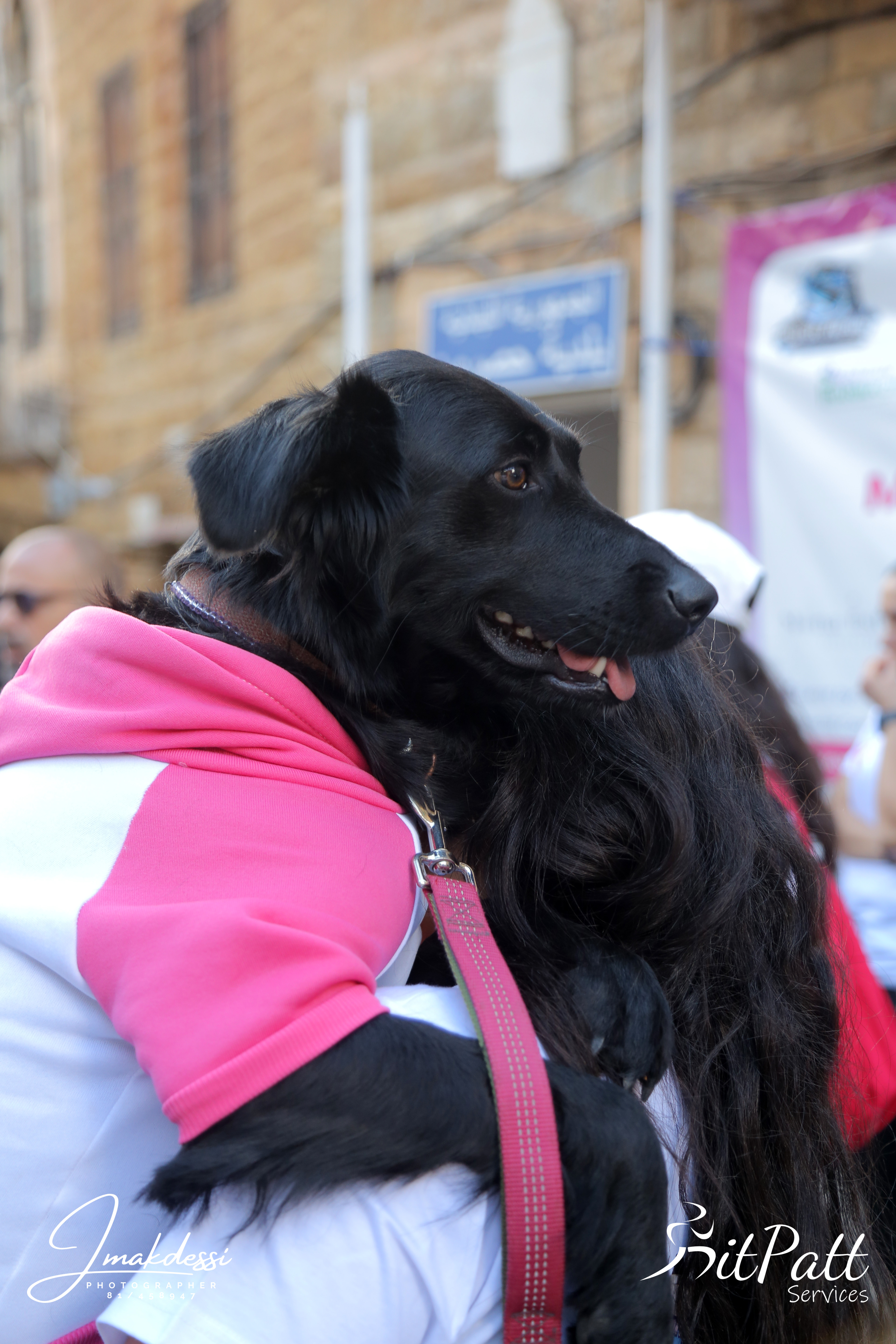 Move for Hope event photo 52